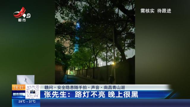 【赣问·安全隐患随手拍·声音·南昌青山湖】张先生：路灯不亮 晚上很黑