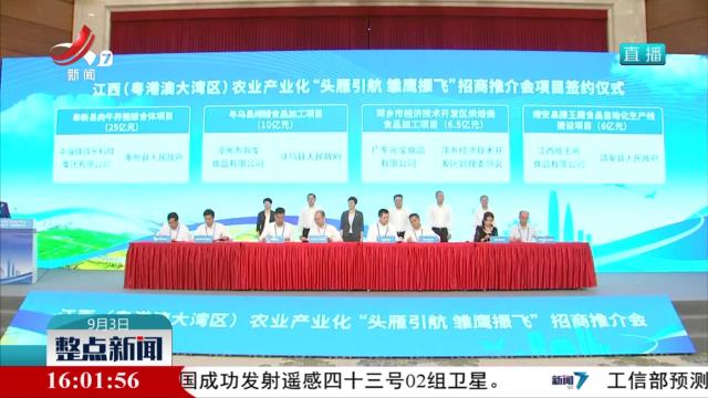 江西（粤港澳大湾区）农业产业化“头雁引航 雏鹰振飞”招商推介会举行
