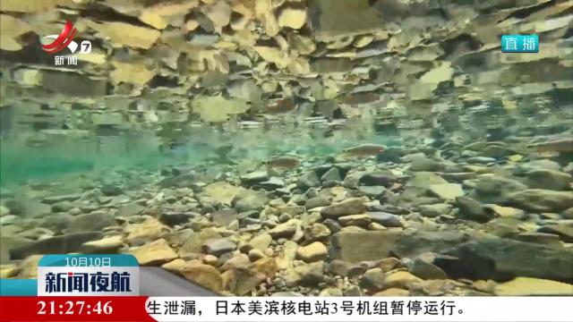 华东地区发现新物种虹彩马口鱼