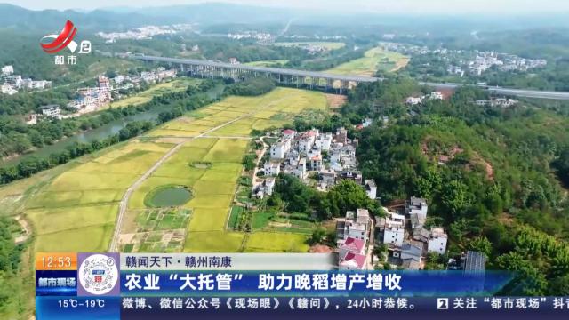 【赣闻天下】赣州南康：农业“大托管” 助力晚稻增产增收