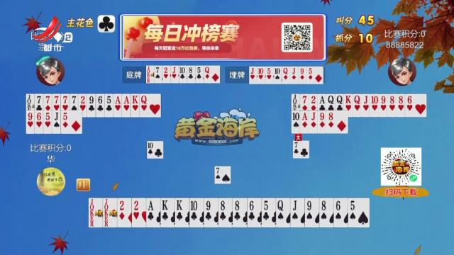 谁是赢家20241011