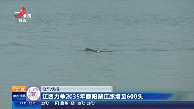 江西力争2035年鄱阳湖江豚增至600头