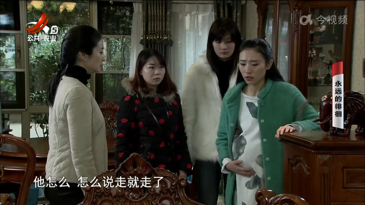 乡村栏目剧场20241028 永远的徘徊