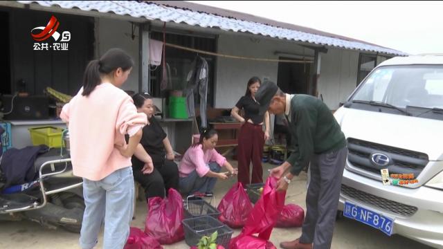 新闻晚高峰20241024