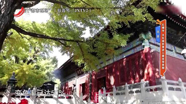 北京——红螺寺 水长城秋景进入最佳观赏期