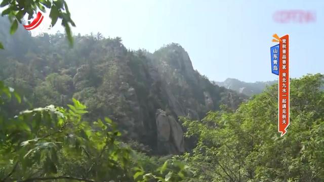 山东青岛：赏秋景品香茗 来北九水一起遇见秋天