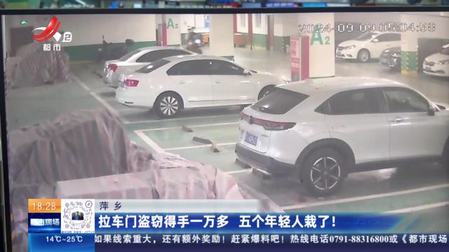萍乡：拉车门盗窃得手一万多 五个年轻人栽了！