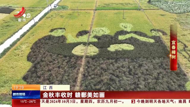 都市现场20241003