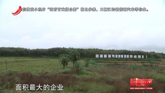 落槌有声20241028 司法为民润人心