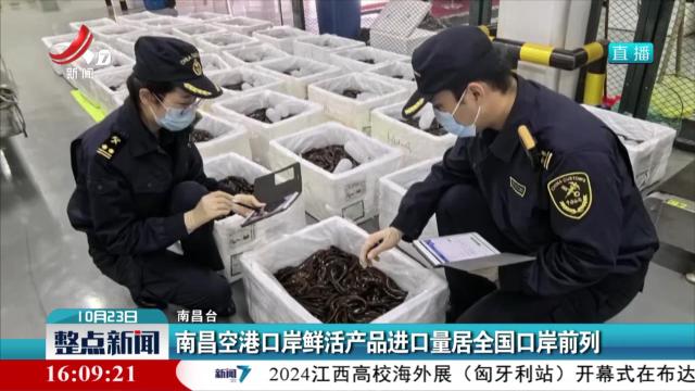 南昌空港口岸鲜活产品进口量居全国口岸前列