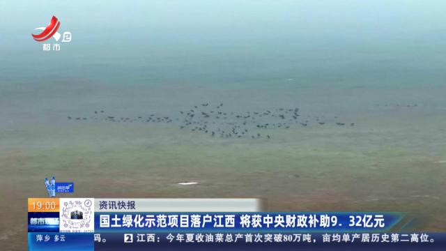 国土绿化示范项目落户江西 将获中央财政补助9.32亿元