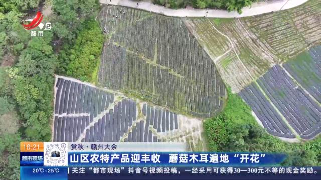 【赏秋】赣州大余：山区农特产品迎丰收 蘑菇木耳遍地“开花”