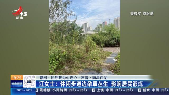 【赣问·民呼我为心连心·声音·南昌西湖】江女士：休闲步道边杂草丛生 影响居民锻炼