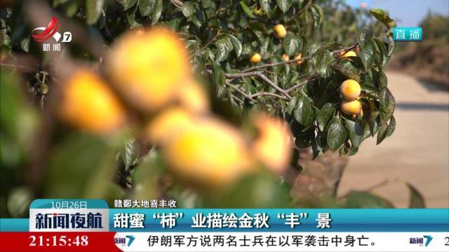 【赣鄱大地喜丰收】甜蜜“柿”业描绘金秋“丰”景