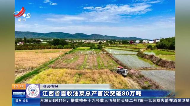 江西省夏收油菜总产首次突破80万吨