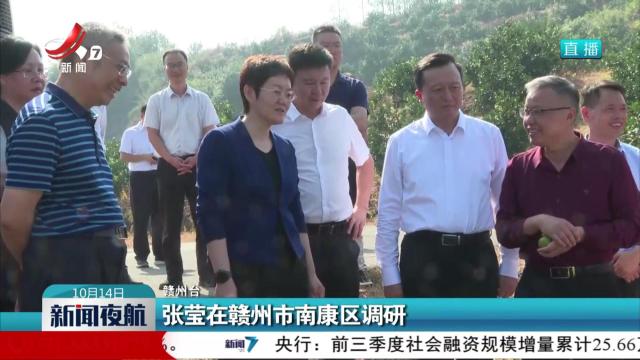 张莹在赣州市南康区调研