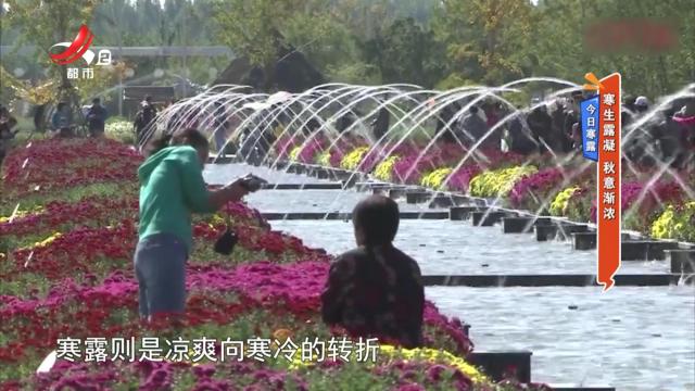 今日寒露——寒生露凝 秋意渐浓