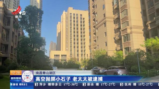 南昌青山湖区：高空抛掷小石子 老太太被逮捕