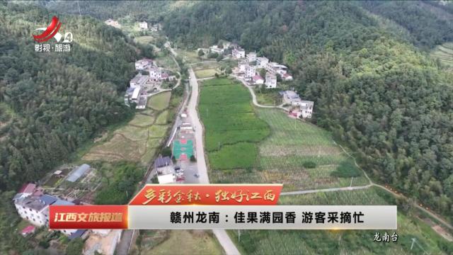 【多彩金秋·独好江西】赣州龙南：佳果满园香 游客采摘忙