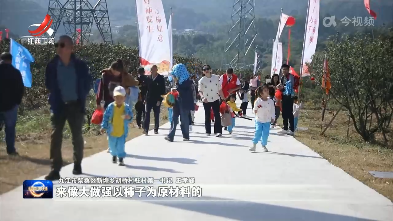 【赣鄱大地喜丰收】甜蜜“柿”业描绘金秋“丰”景
