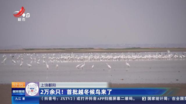 上饶鄱阳：2万余只！ 首批越冬候鸟来了
