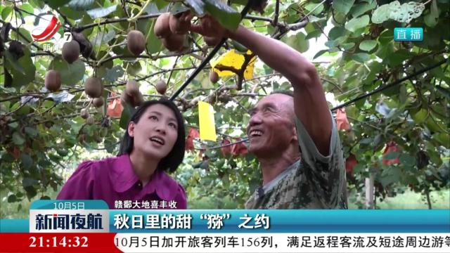【赣鄱大地喜丰收】秋日里的甜“猕”之约