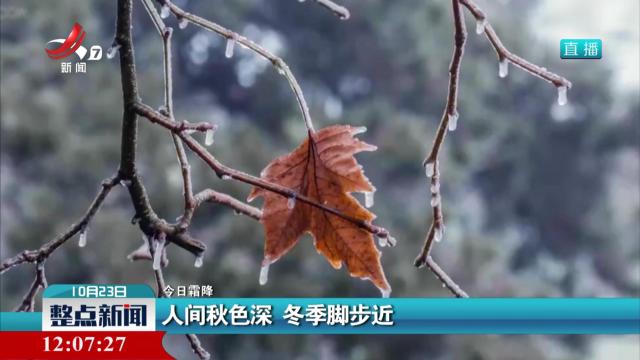 【今日霜降】人间秋色深 冬季脚步近