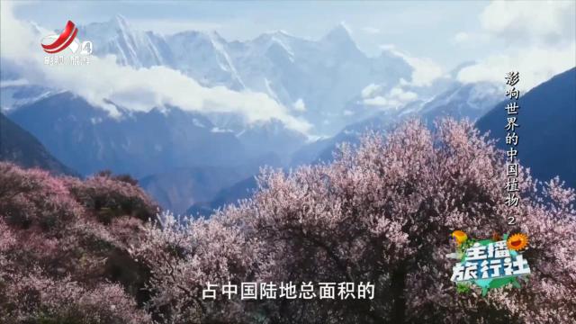 主播旅行社20241023 影响世界的中国植物2