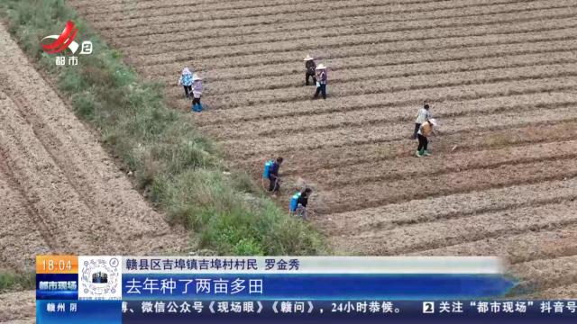 【赏秋】赣州赣县：抢抓秋冬种 油菜播种忙