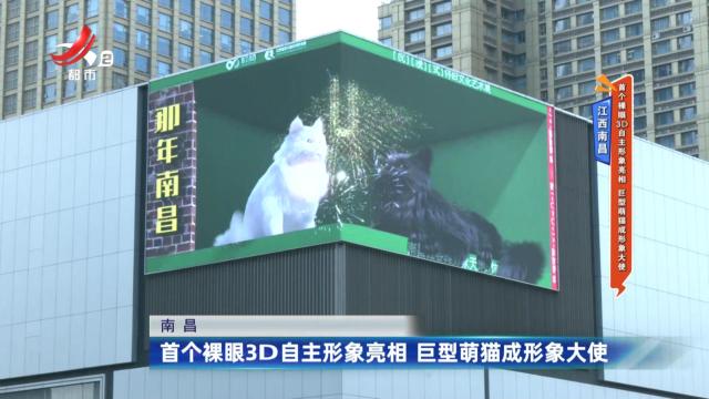 江西南昌：首个裸眼3D自主形象亮相 巨型萌猫成形象大使