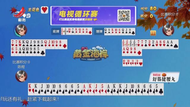 谁是赢家20241015
