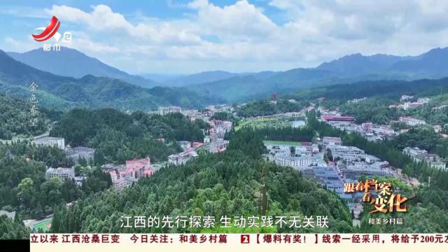 【跟着档案看变化】和美乡村篇