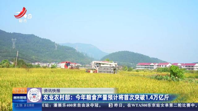 农业农村部：今年粮食产量预计将首次突破1.4万亿斤