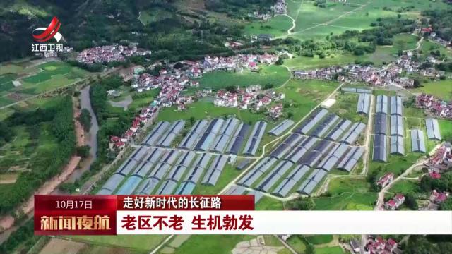 【走好新时代的长征路】老区不老 生机勃发