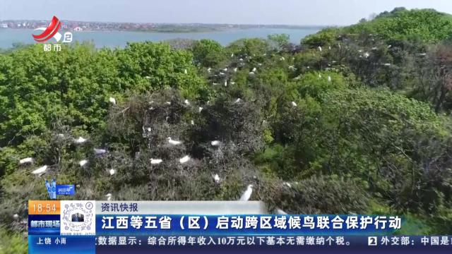江西等五省（区）启动跨区域候鸟联合保护行动