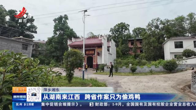 萍乡湘东：从湖南来江西 跨省作案只为偷鸡鸭