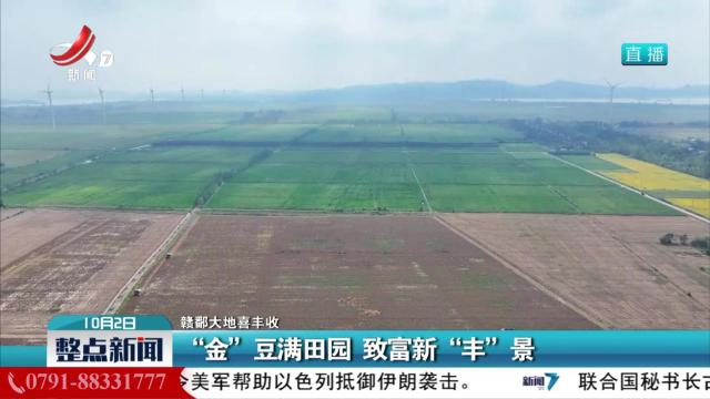 【赣鄱大地喜丰收】“金”豆满田园 致富新“丰”景