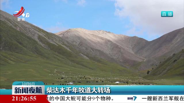 柴达木千年牧道大转场
