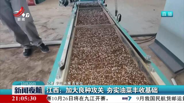 江西：加大良种攻关 夯实油菜丰收基础