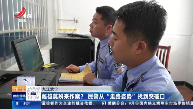 九江武宁：雌雄莫辨来作案？民警从“走路姿势”找到突破口