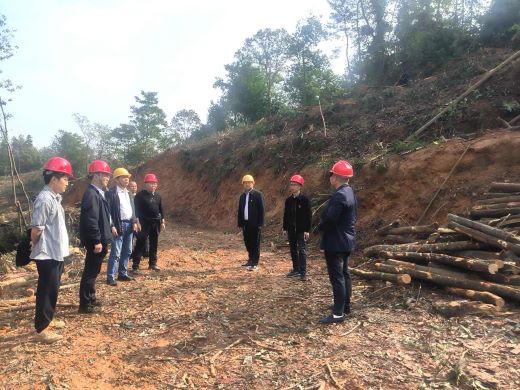 万载县森工林场有限责任公司机关党支部开展“森林防火不松懈，时刻绷紧安全弦”主题党日活动