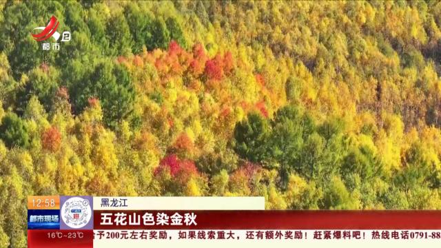 黑龙江：五花山色染金秋