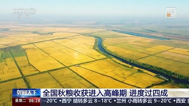 长天新闻丨江右时评：喜看金秋“丰”味浓