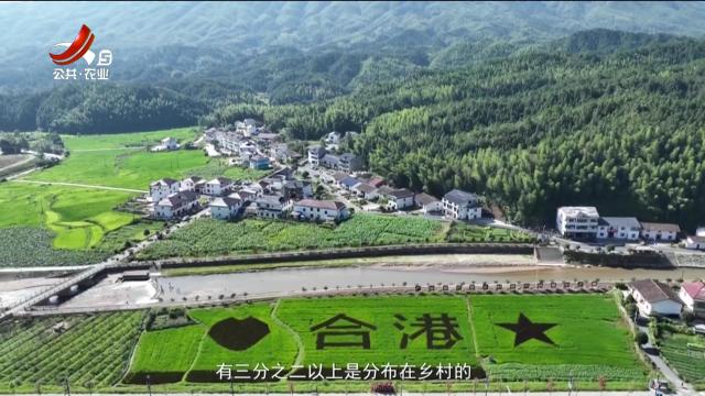 稻花香里20241016 乡村振兴进行时——于都：“红军裁缝”家乡的致富梦