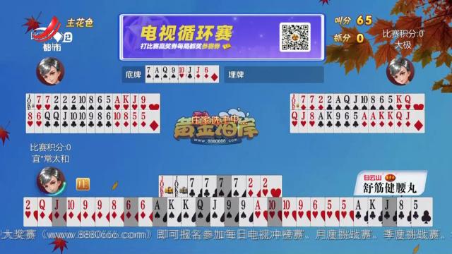 谁是赢家20241026