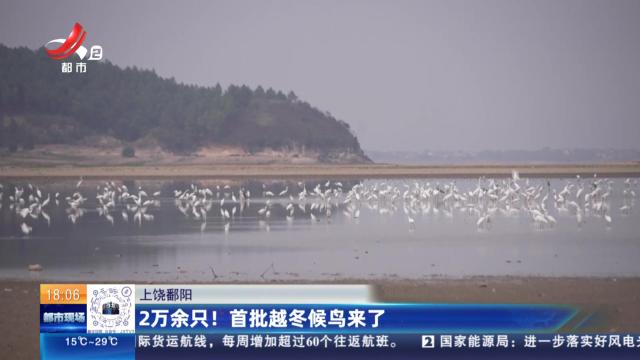 上饶鄱阳：2万余只！ 首批越冬候鸟来了