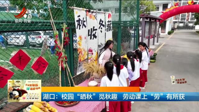 湖口：校园“晒秋”觅秋趣 劳动课上“劳”有所获
