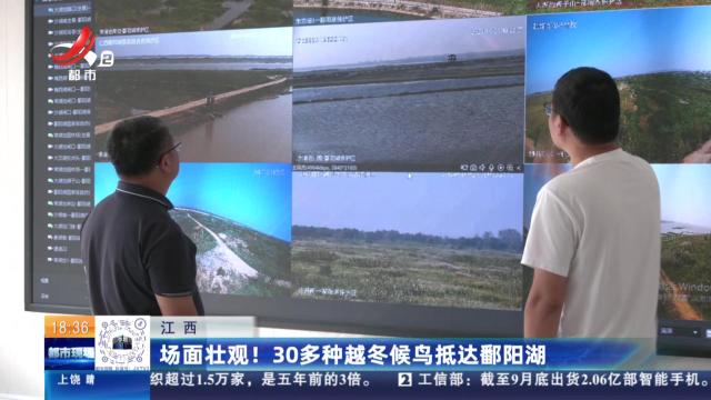 江西：场面壮观！30多种越冬候鸟抵达鄱阳湖