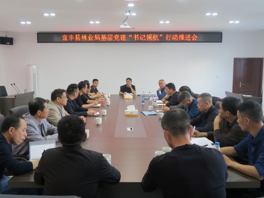 宜丰县林业局召开基层党建“书记领航”行动推进会  