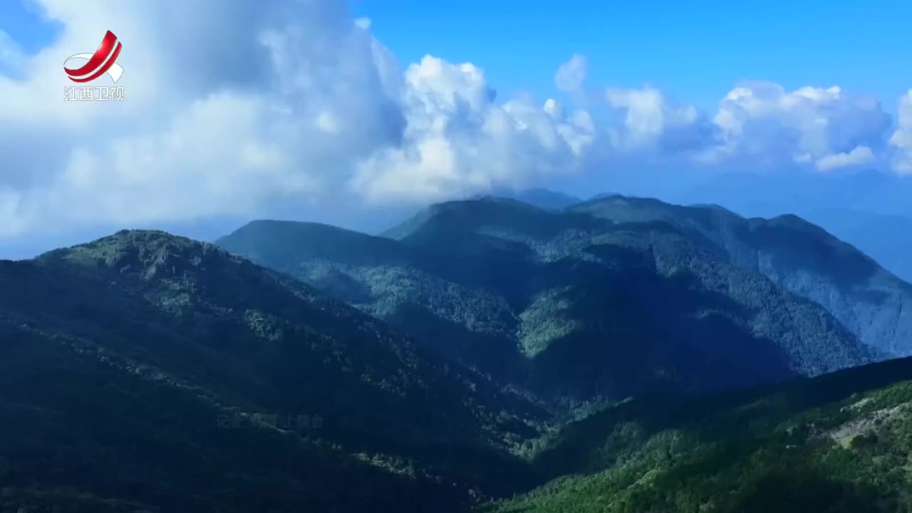 武夷山国家公园江西片区发现新物种黄岗山蝾螈
